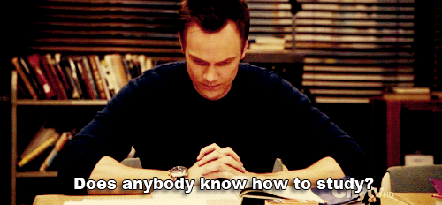 10 study tips with funny and cute GIFs for final exam season - Skooli Online Tutoring